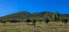 556 Mount Amos Road, Cooktown, Qld 4895-Image