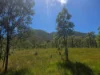 556 Mount Amos Road, Cooktown, Qld 4895-Image