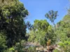 556 Mount Amos Road, Cooktown, Qld 4895-Image