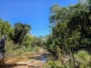 556 Mount Amos Road, Cooktown, Qld 4895-Image