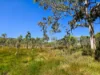556 Mount Amos Road, Cooktown, Qld 4895-Image