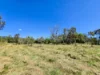 556 Mount Amos Road, Cooktown, Qld 4895-Image