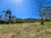556 Mount Amos Road, Cooktown, Qld 4895-Image