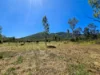 556 Mount Amos Road, Cooktown, Qld 4895-Image