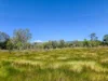 556 Mount Amos Road, Cooktown, Qld 4895-Image