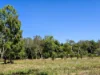 556 Mount Amos Road, Cooktown, Qld 4895-Image