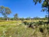 556 Mount Amos Road, Cooktown, Qld 4895-Image