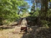 556 Mount Amos Road, Cooktown, Qld 4895-Image