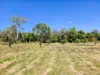 556 Mount Amos Road, Cooktown, Qld 4895-Image