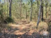 56 Brett Road, Blackbutt South, Qld 4314-Image
