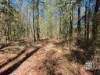 56 Brett Road, Blackbutt South, Qld 4314-Image