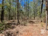56 Brett Road, Blackbutt South, Qld 4314-Image