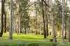 56 Dunlop Drive, Paxton, NSW 2325-Image