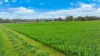 560 Wallamore Road, Tamworth, NSW 2340-Image