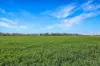 560 Wallamore Road, Tamworth, NSW 2340-Image