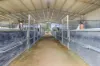 560 Wallamore Road, Tamworth, NSW 2340-Image