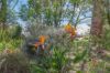 5609 Princes Highway, Boorcan VIC 3265-Image