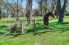 565 Oxleys Hill Road, Berrima NSW 2577-Image