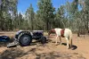 566 Waverley Lane, Silver Spur, Qld 4385-Image