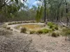 566 Waverley Lane, Silver Spur, Qld 4385-Image