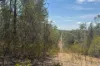 566 Waverley Lane, Silver Spur, Qld 4385-Image