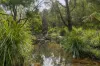 567 Meryla Road, Manchester Square, NSW 2577-Image