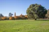 56B Martins Road, Oakbank, SA 5243-Image