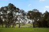 56B Martins Road, Oakbank, SA 5243-Image