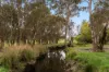 56B Martins Road, Oakbank, SA 5243-Image