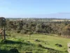 57 Dunlop Road, St Arnaud, Vic 3478-Image