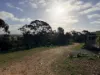 57 Dunlop Road, St Arnaud, Vic 3478-Image