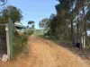 57 Dunlop Road, St Arnaud, Vic 3478-Image