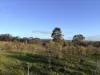 57 Dunlop Road, St Arnaud, Vic 3478-Image