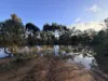 57 Dunlop Road, St Arnaud, Vic 3478-Image