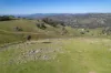 57 Gilberts Road, Huon Creek, Vic 3691-Image