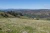 57 Gilberts Road, Huon Creek VIC 3691-Image