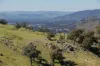 57 Gilberts Road, Huon Creek VIC 3691-Image