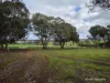 57 Ward Place, Frankland River, WA 6396