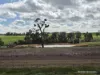 57 Ward Place, Frankland River, WA 6396-Image