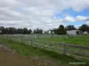 57 Ward Place, Frankland River, WA 6396-Image