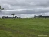 57 Ward Place, Frankland River, WA 6396-Image