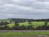 57 Ward Place, Frankland River, WA 6396-Image