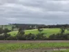 57 Ward Place, Frankland River, WA 6396-Image