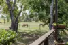 570  Wooli Road, Pillar Valley, NSW 2462