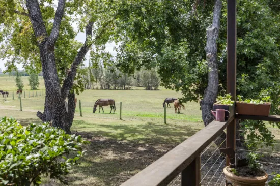 570  Wooli Road, Pillar Valley, NSW 2462