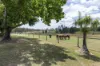 570  Wooli Road, Pillar Valley, NSW 2462-Image