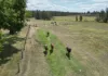 570  Wooli Road, Pillar Valley, NSW 2462-Image