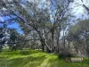 574 Lennard Road, Beverley, WA 6304-Image