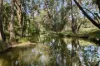 576 Lue Road, Mudgee, NSW 2850