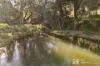576 Lue Road, Mudgee, NSW 2850-Image